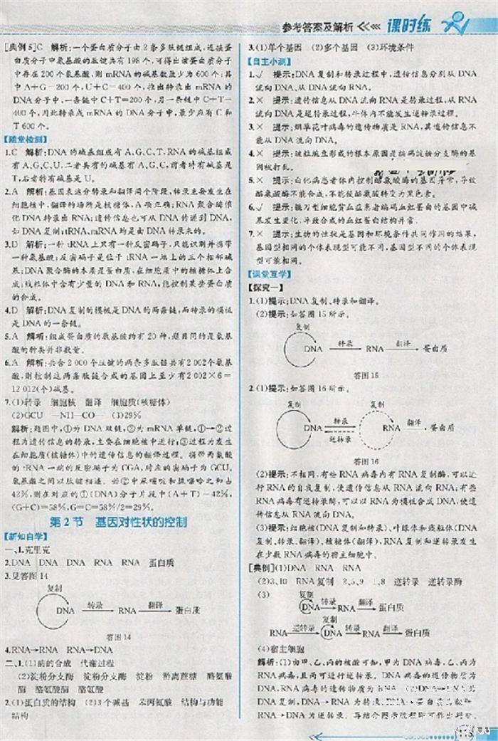 2018版同步導(dǎo)學(xué)案課時(shí)練生物人教版必修2參考答案 第16頁