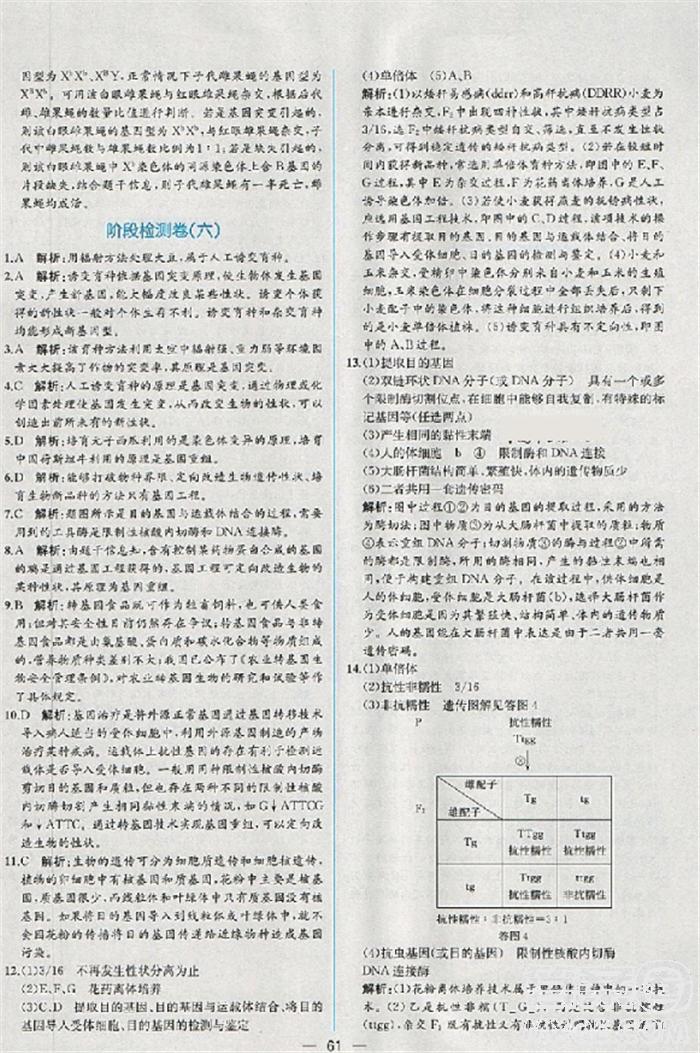 2018版同步導學案課時練生物人教版必修2參考答案 第44頁