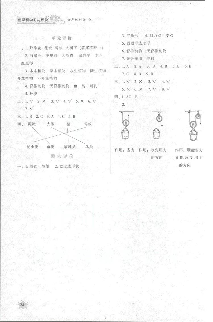 2018年新版小學(xué)生新課程學(xué)習(xí)與評價(jià)六年級科學(xué)上冊K版人教版答案 第5頁