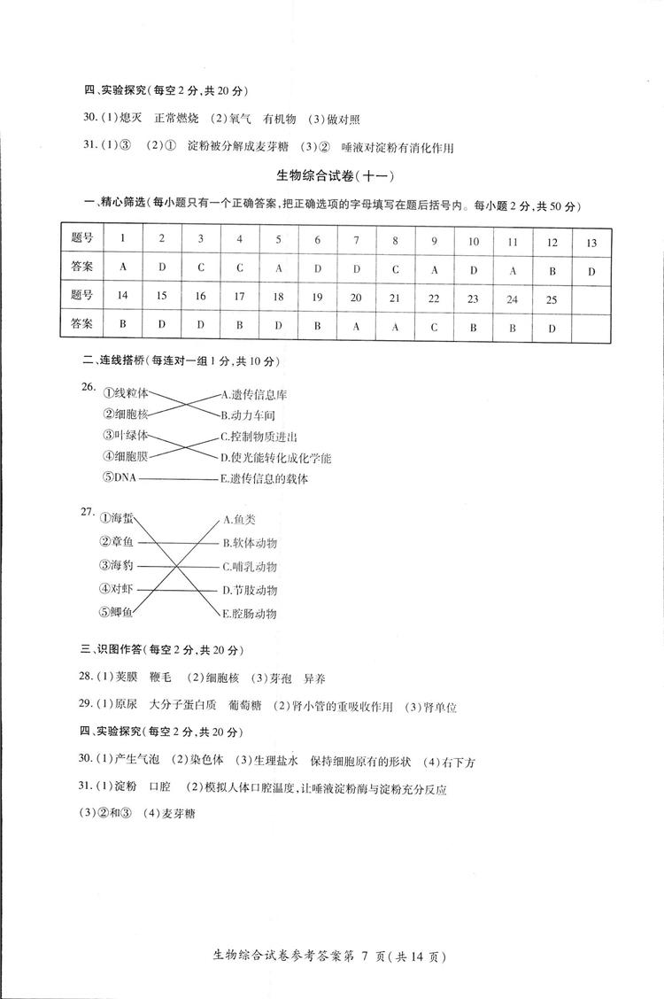 2018年資源與評(píng)價(jià)中考全程總復(fù)習(xí)生物B版參考答案 第18頁(yè)