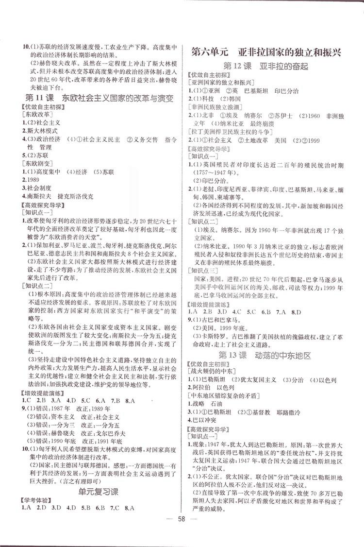 2018年同步导学案课时练九年级世界历史全一册人教版河南专版 第14页