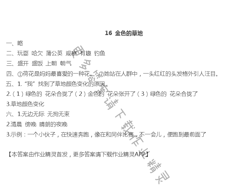 16金色的草地 - 16  金色的草地