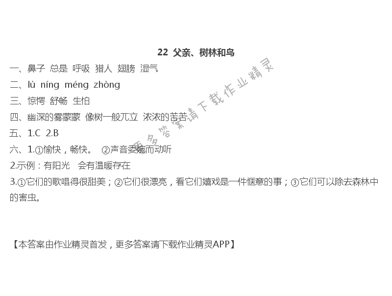 22父亲、树林和鸟 - 22  父亲、树林和鸟