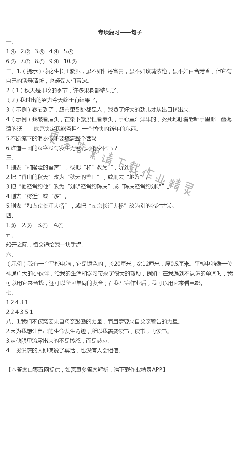 专项复习——句子