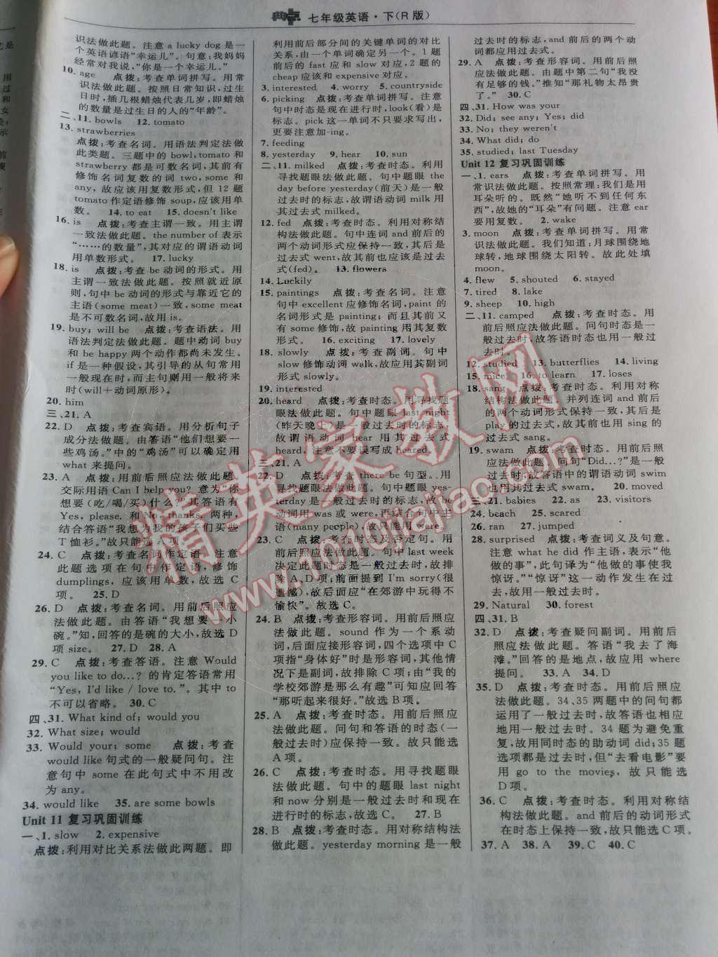 2014年綜合應用創(chuàng)新題典中點七年級英語下冊人教版 期末復習鞏固訓練第78頁