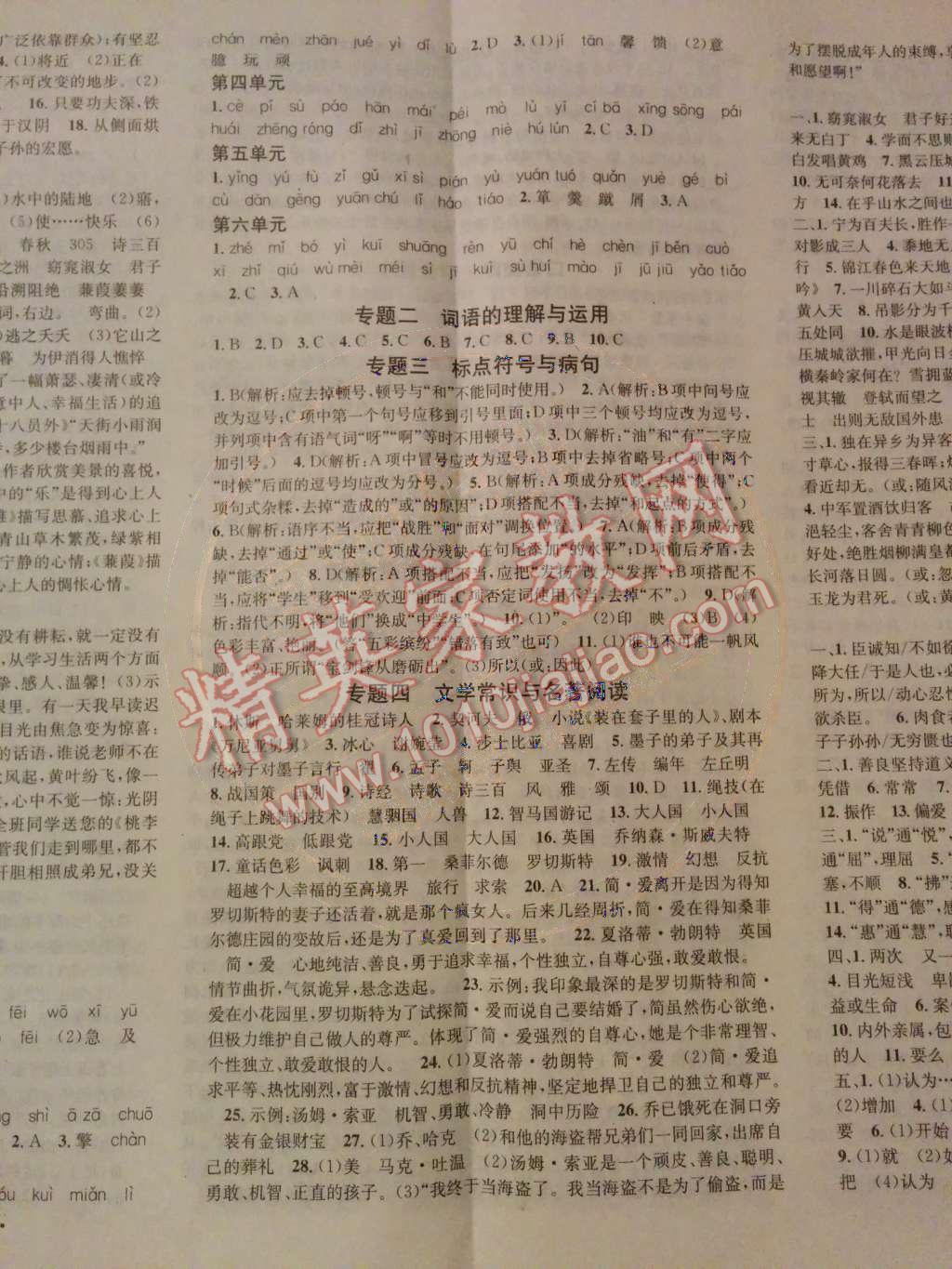 2014年名校课堂助教型教辅九年级语文下册人教版 期末专题复习第65页