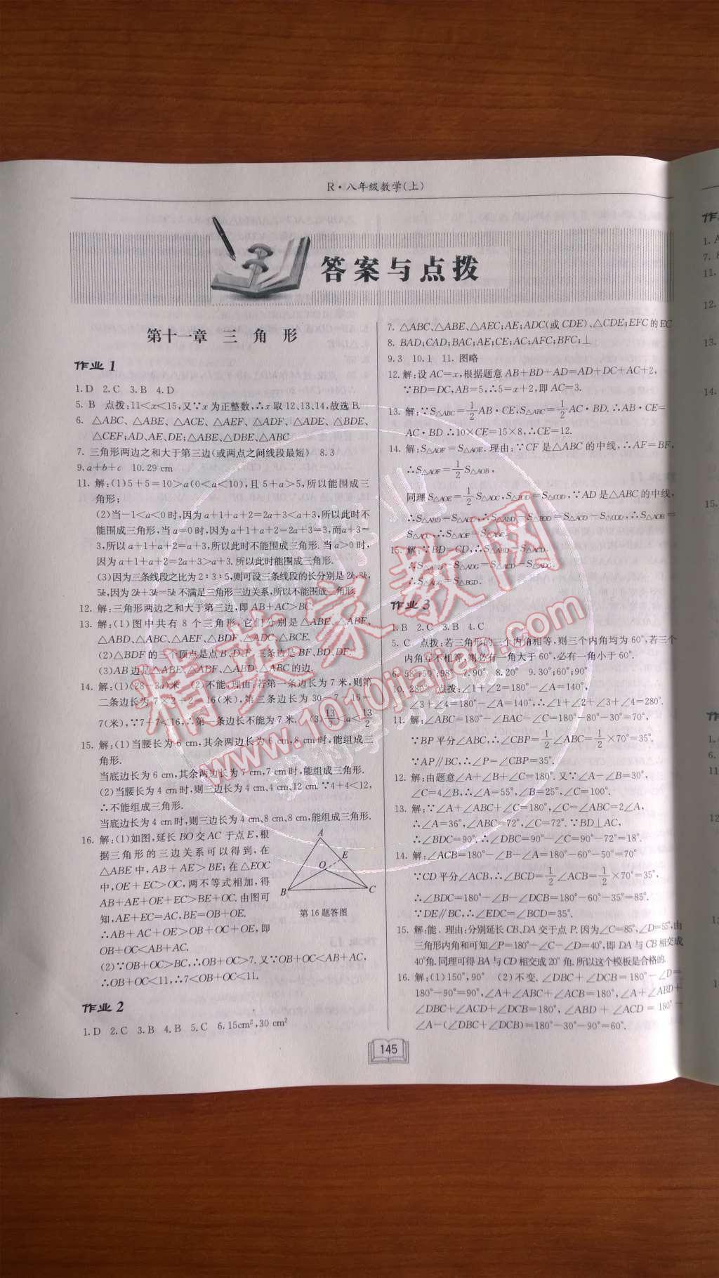 2014年啟東中學作業(yè)本八年級數(shù)學上冊人教版 第十一章 三角形第62頁