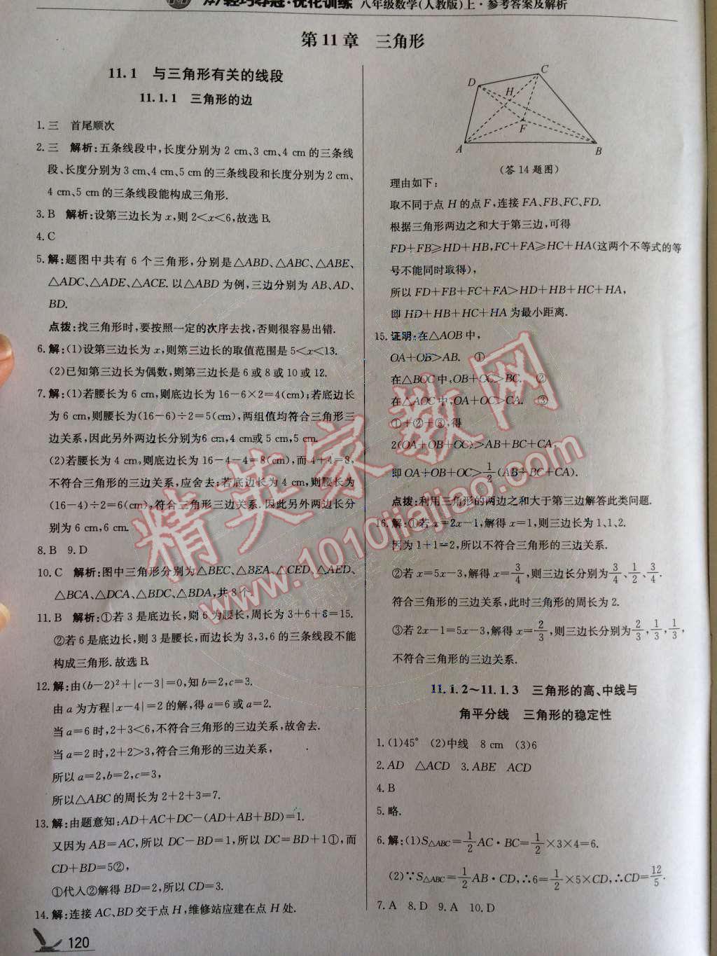 2014年1加1輕巧奪冠優(yōu)化訓練八年級數(shù)學上冊人教版銀版2014 第11章 三角形第51頁