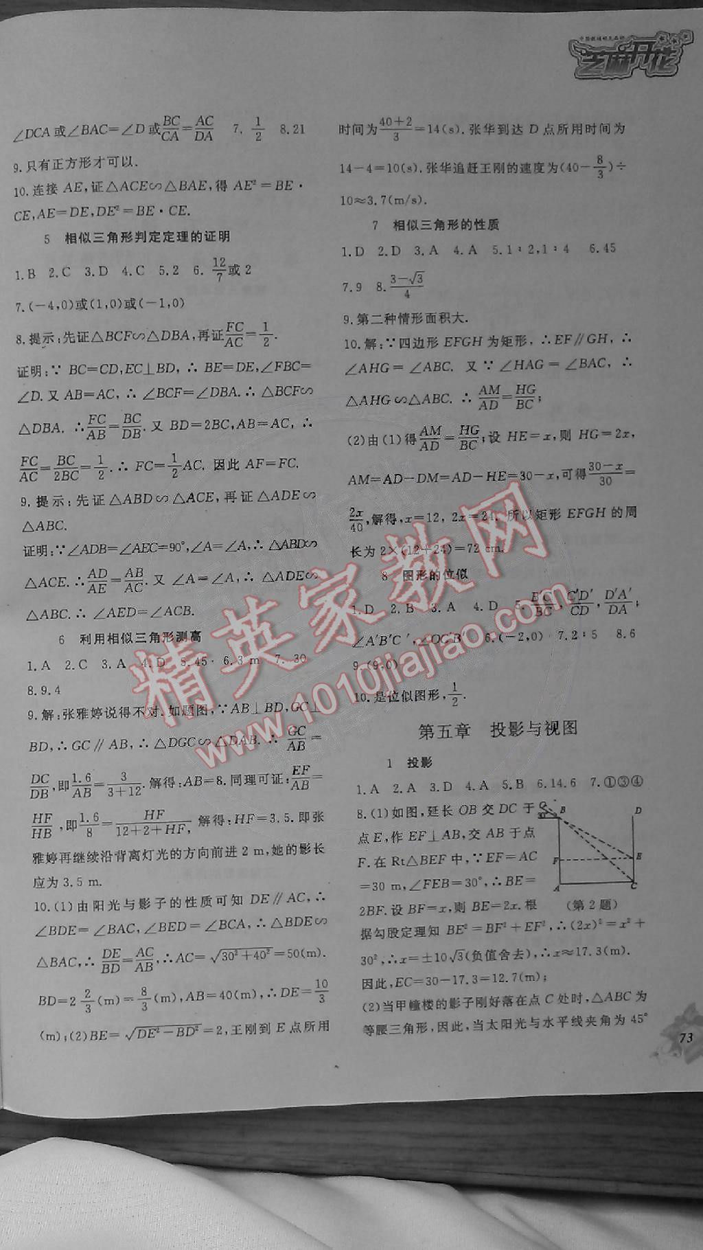 2014年數(shù)學(xué)作業(yè)本九年級(jí)上冊(cè)北師大版 第3頁(yè)