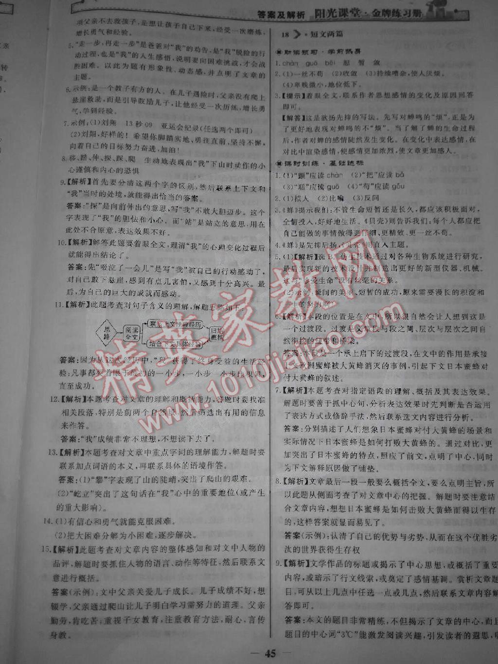 阳光课堂金牌练习册七年级语文上册人教版 第13页