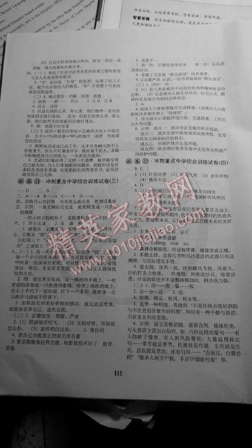 2012年小学毕业升学必备语文 第7页