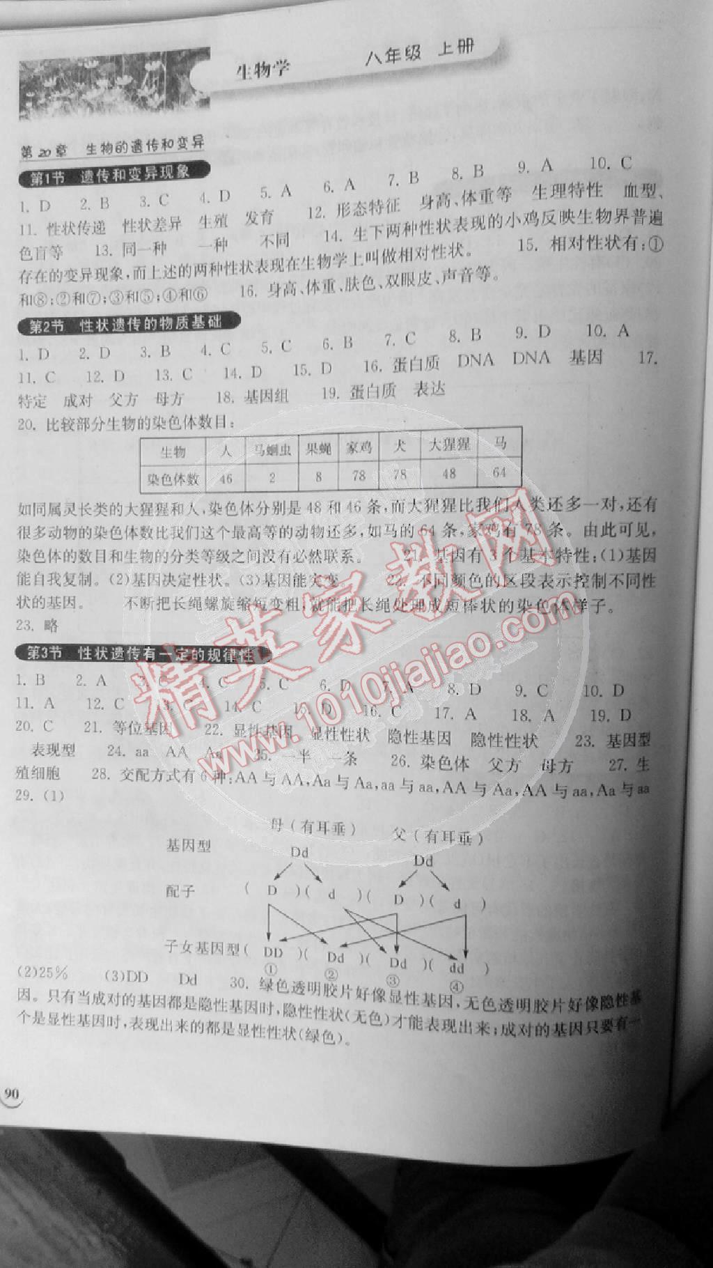 长江作业本同步练习册八年级生物上册人教版 第7页