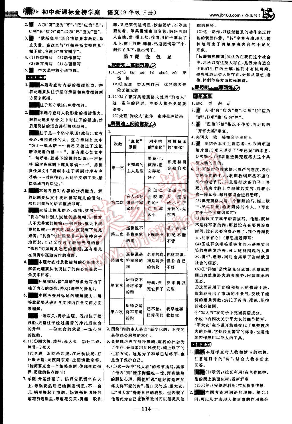 2015年世紀金榜金榜學(xué)案九年級語文下冊人教版 第5頁