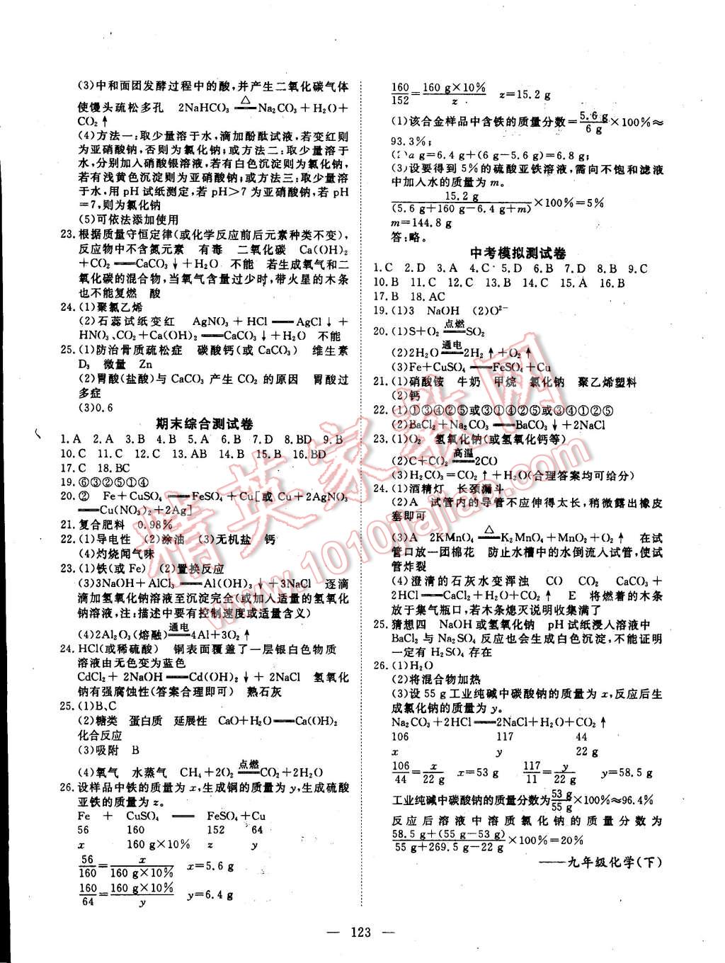 2014年探究在線高效課堂九年級化學下冊 第12頁