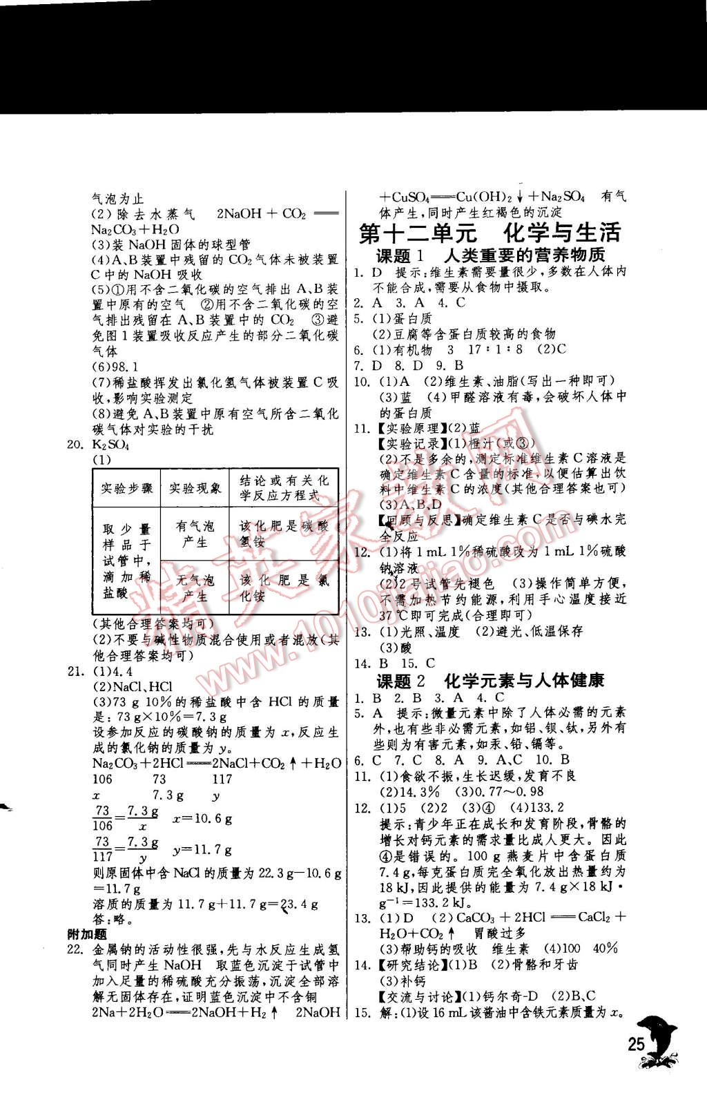 2015年实验班提优训练九年级化学下册人教版 第25页