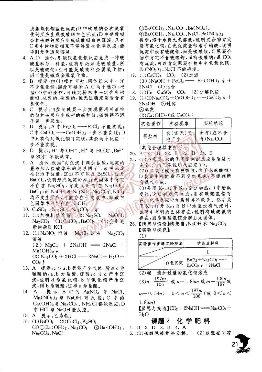 2015年实验班提优训练九年级化学下册人教版 第21页