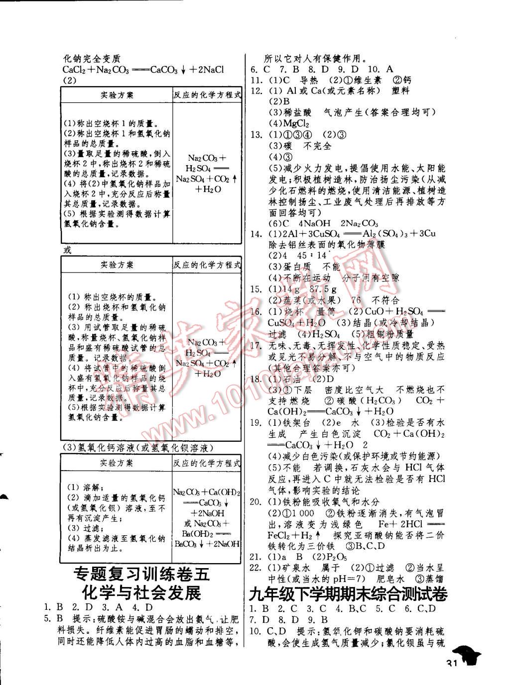 2015年实验班提优训练九年级化学下册人教版 第31页