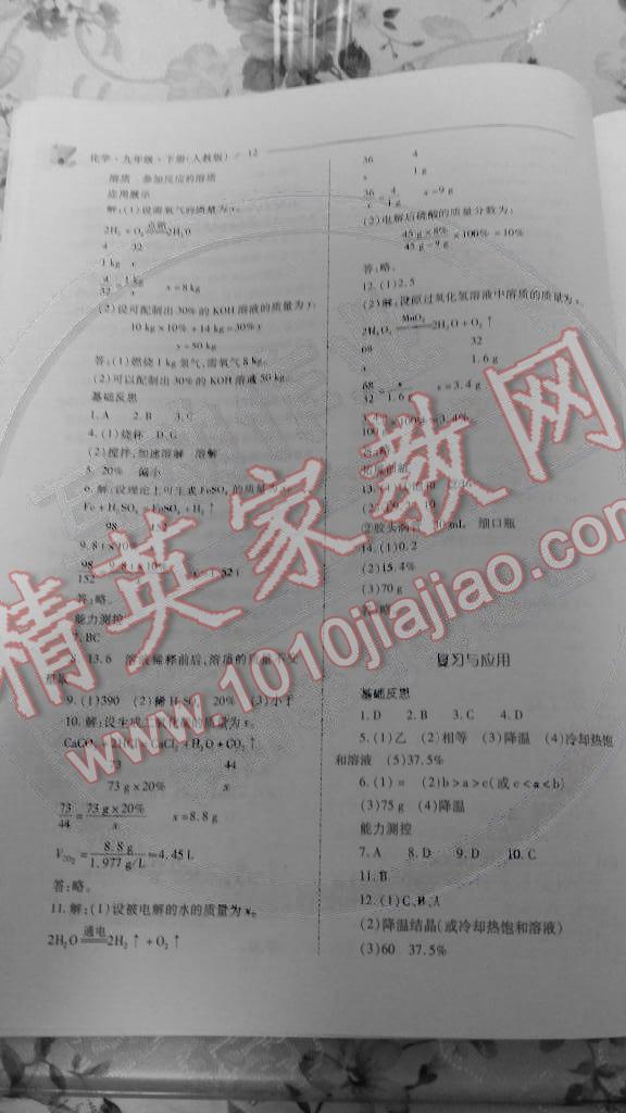 2015年新課程問(wèn)題解決導(dǎo)學(xué)方案九年級(jí)化學(xué)下冊(cè)人教版 第12頁(yè)