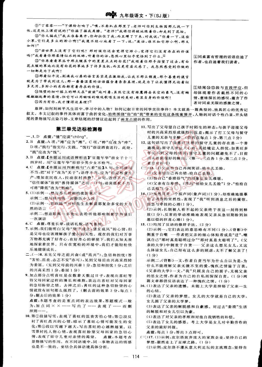 2015年綜合應用創(chuàng)新題典中點九年級語文下冊蘇教版 第4頁