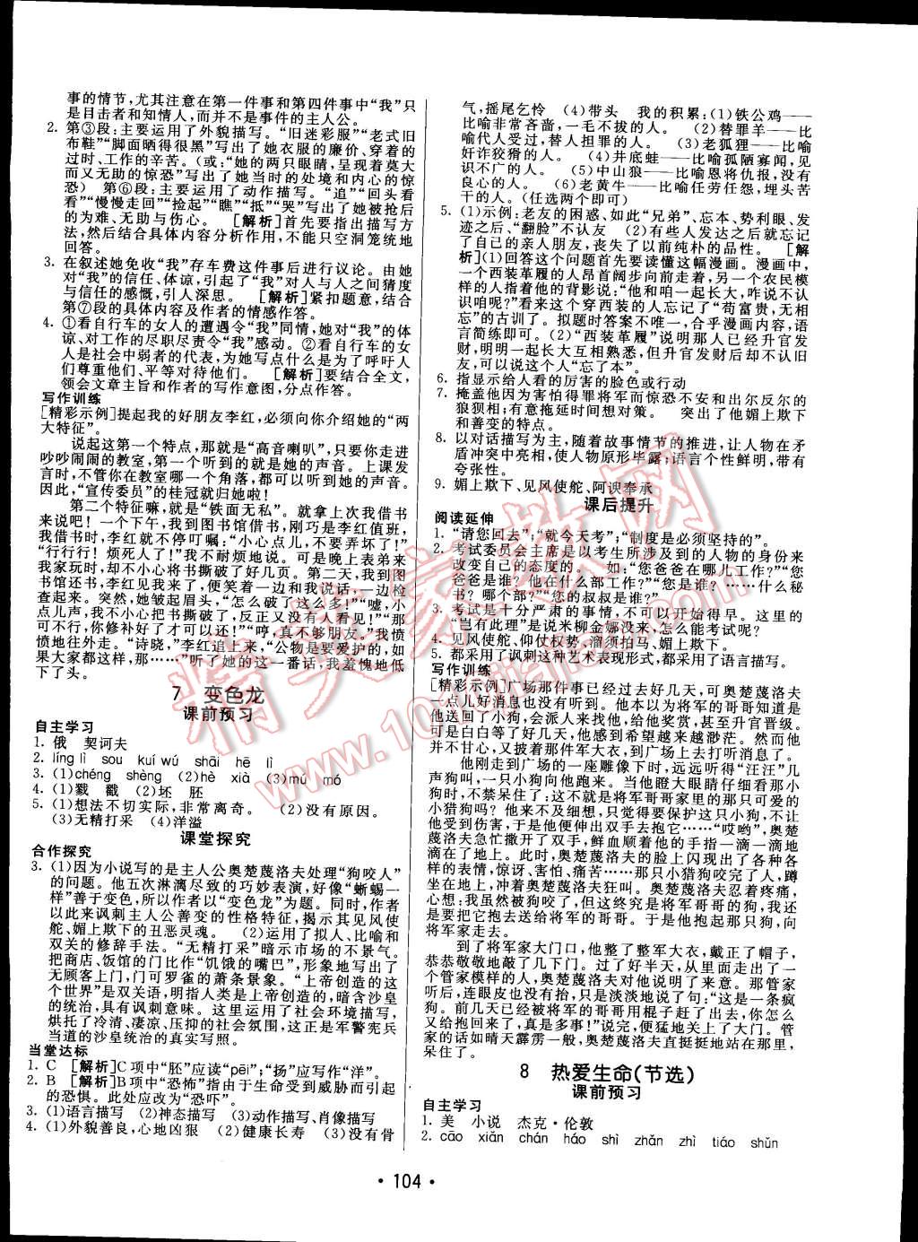 2015年同行学案课堂达标九年级语文下册人教版 第4页