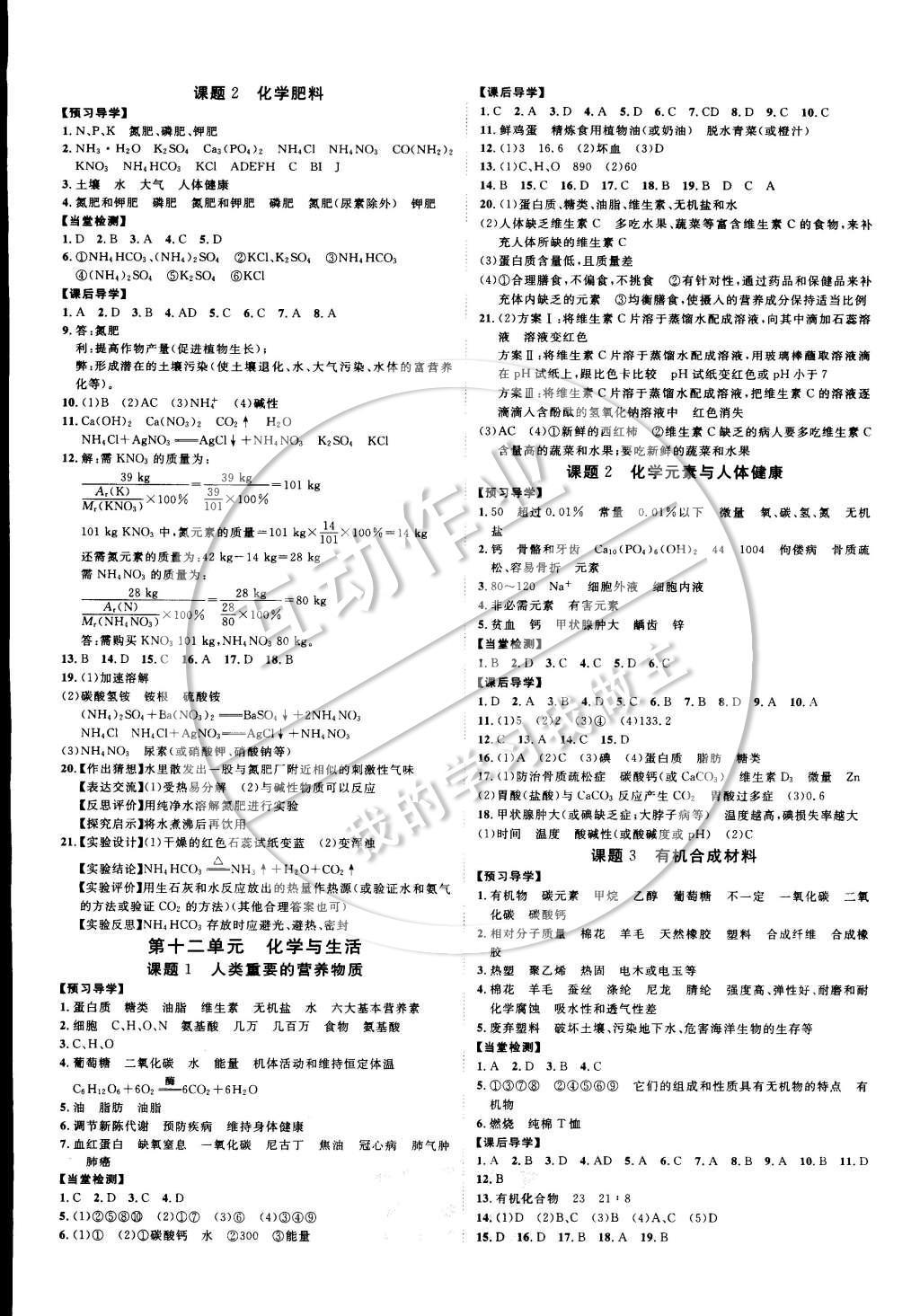 2015年中考考什么高效課堂導(dǎo)學(xué)案九年級化學(xué)下冊人教版 參考答案第15頁