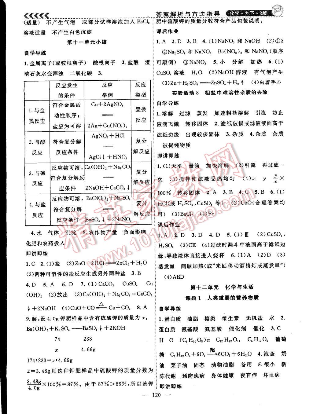 2015年课时夺冠九年级化学下册人教版 第8页