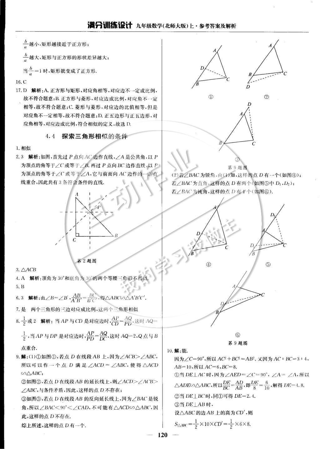 2014年满分训练设计九年级数学上册北师大版 第四章 图形的相似第41页