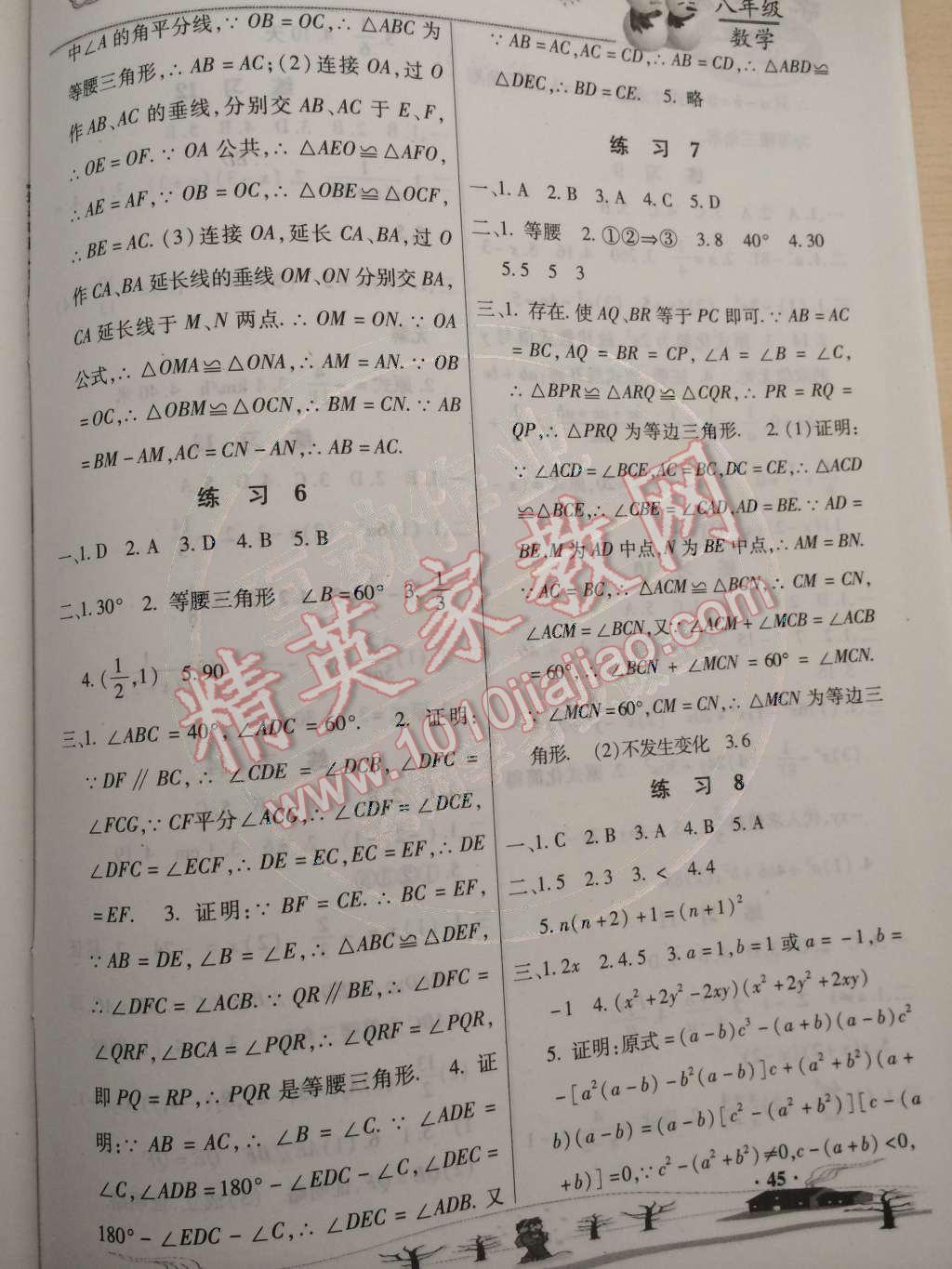 2015年快乐寒假八年级数学 第2页