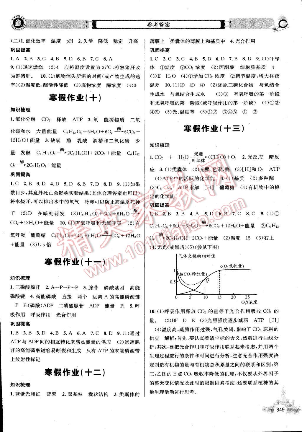 2015年石室金匱寒假作業(yè)高一合訂本 第25頁