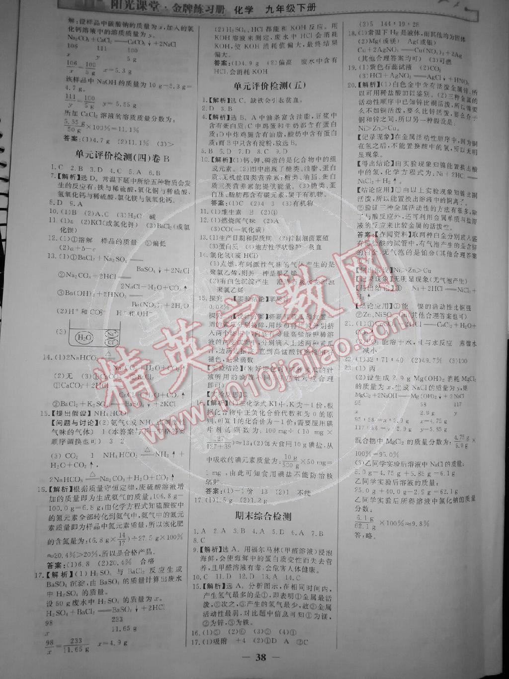 2015年阳光课堂金牌练习册九年级化学下册人教版 第14页