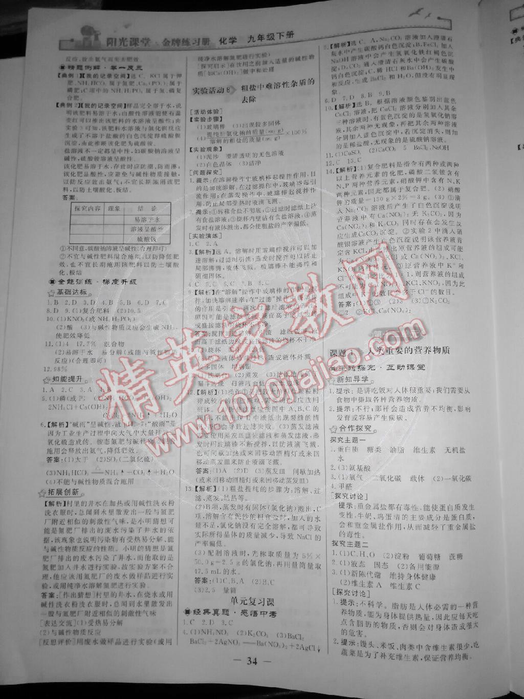 2015年陽光課堂金牌練習(xí)冊九年級化學(xué)下冊人教版 第10頁