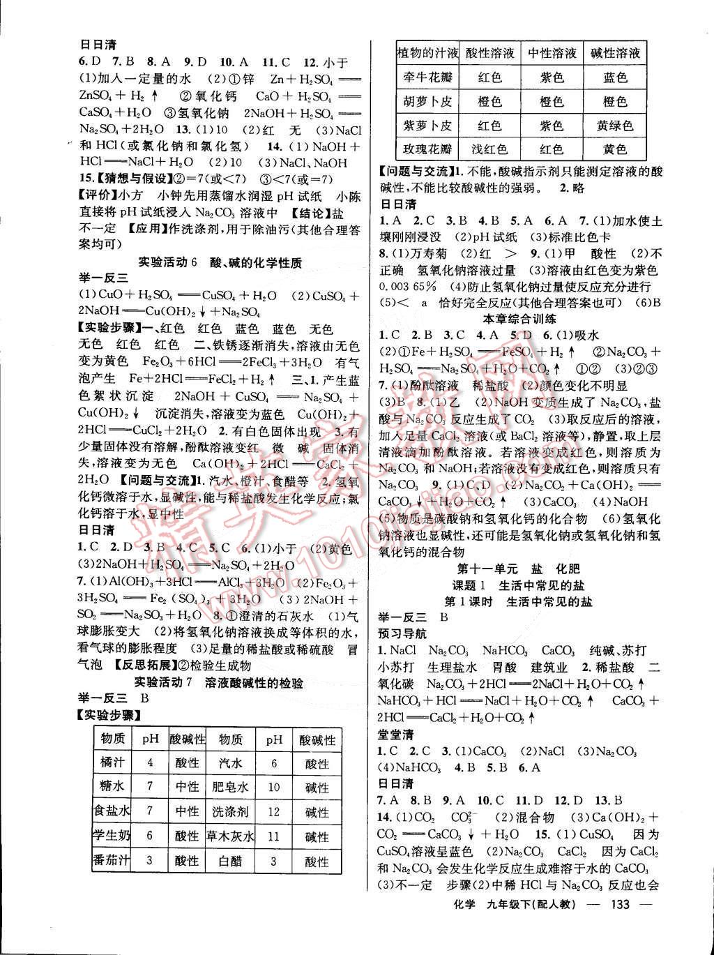 2015年四清导航九年级化学下册人教版 第5页