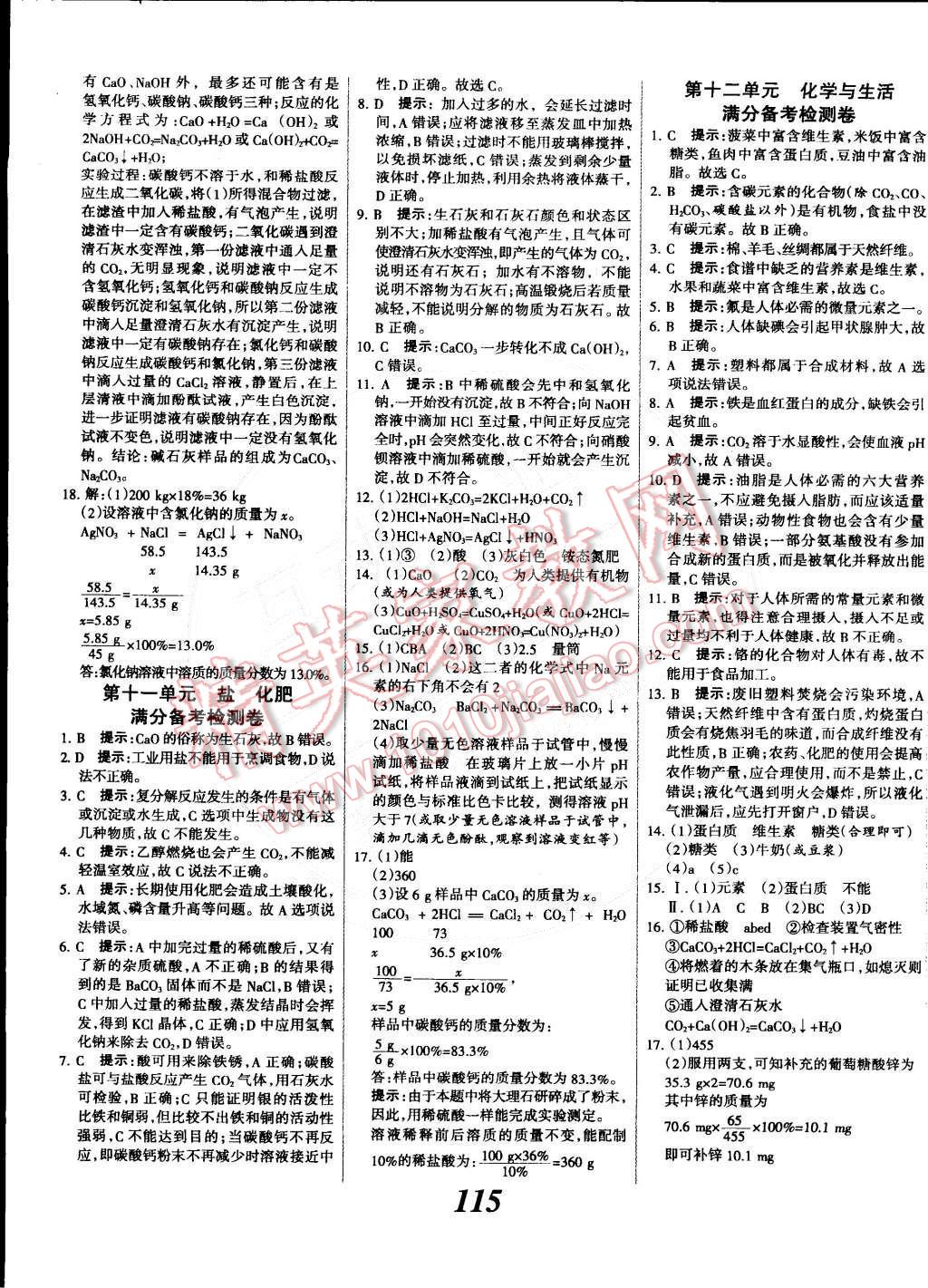 2014年全優(yōu)課堂考點集訓(xùn)與滿分備考九年級化學(xué)全一冊下人教版 第19頁