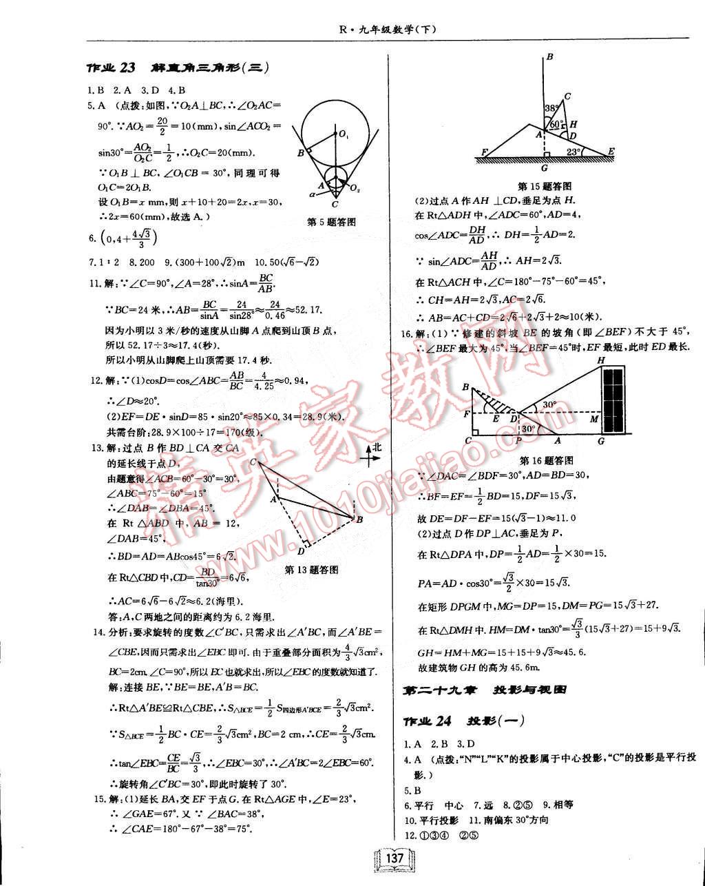 2015年启东中学作业本九年级数学下册人教版 第13页