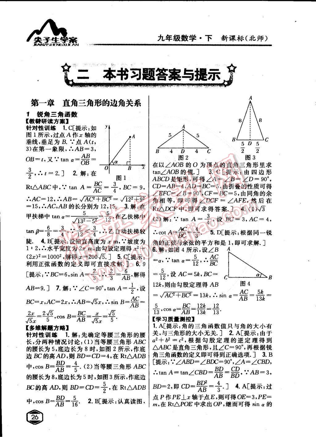 2015年尖子生學(xué)案九年級數(shù)學(xué)下冊北師大版 第1頁