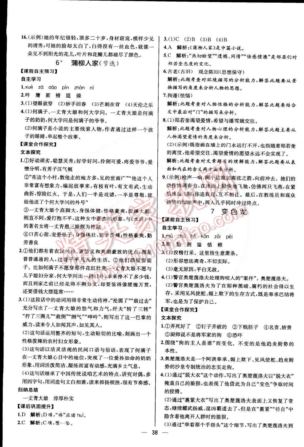 2015年同步導(dǎo)學(xué)案課時練九年級語文下冊人教版 第46頁