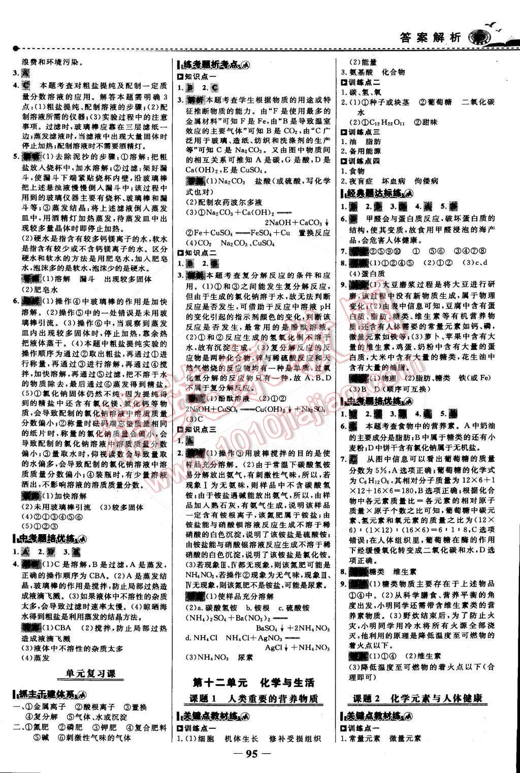 2015年世紀金榜百練百勝九年級化學下冊 第10頁