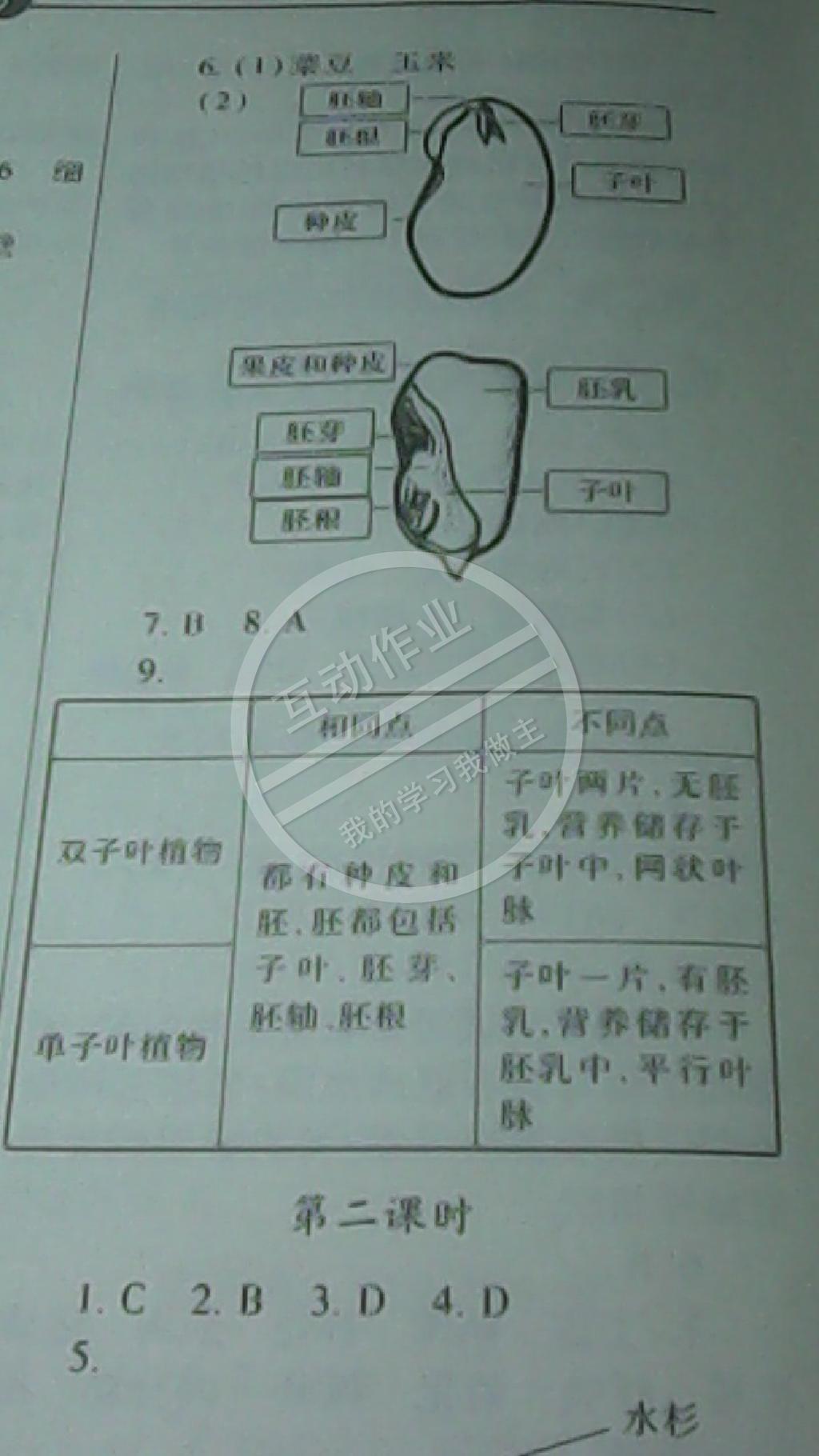 新課堂同步學習與探究七年級生物上學期 第12頁