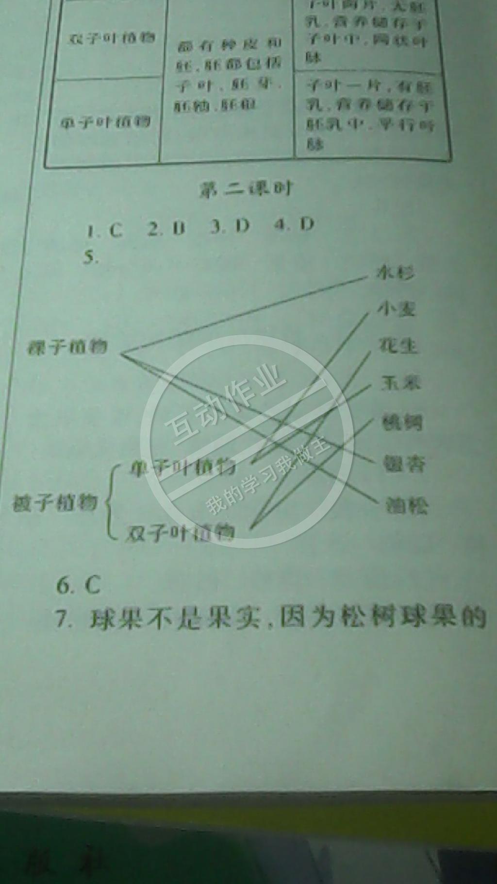 新課堂同步學(xué)習(xí)與探究七年級(jí)生物上學(xué)期 第13頁