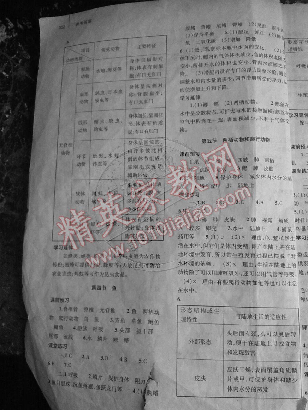 2014年基礎(chǔ)訓(xùn)練八年級生物上冊人教版河南省內(nèi)使用 第2頁