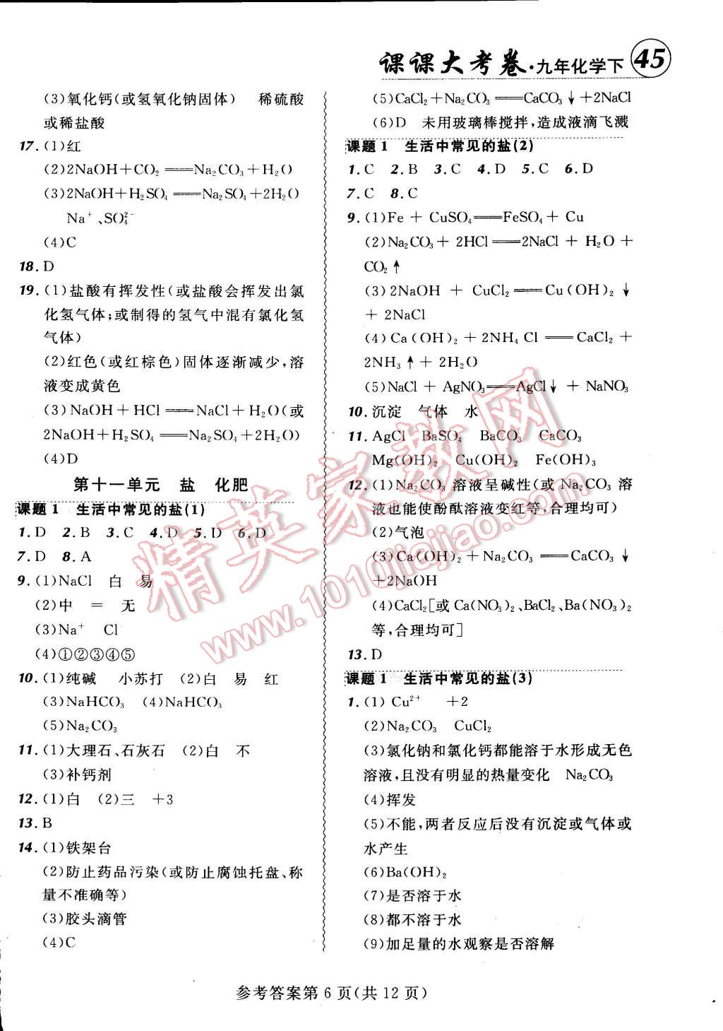 2015年北大绿卡课课大考卷九年级化学下册人教版 第6页