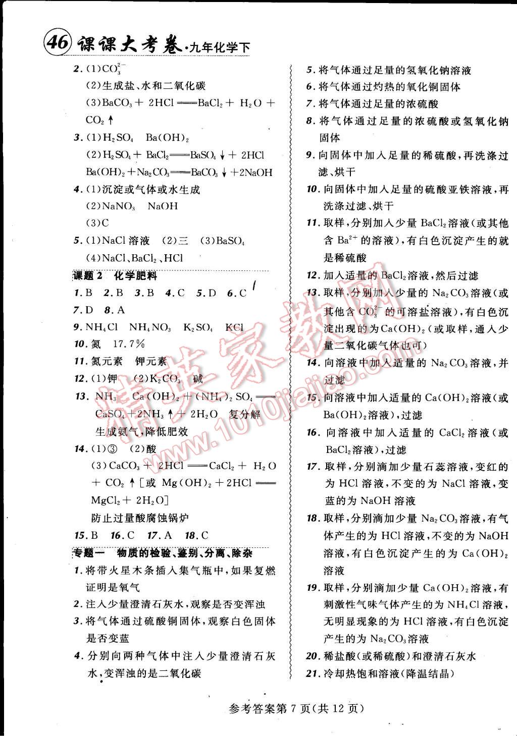 2015年北大绿卡课课大考卷九年级化学下册人教版 第7页