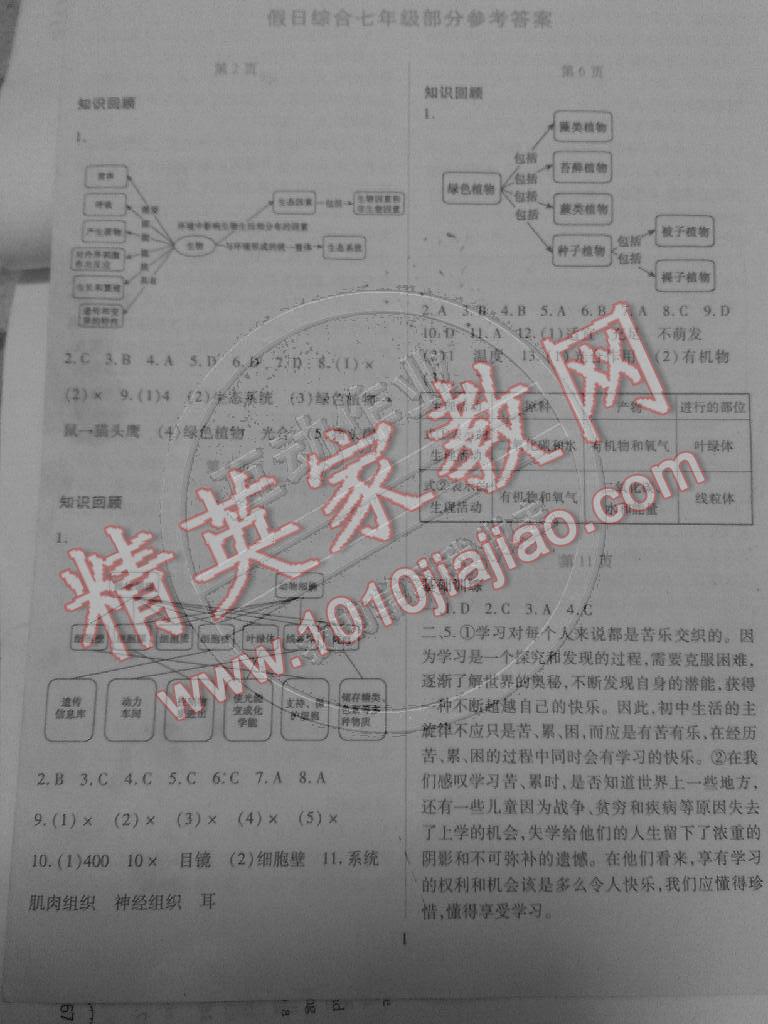 2015年義務教育課程標準寒假用書假日綜合七年級 第1頁