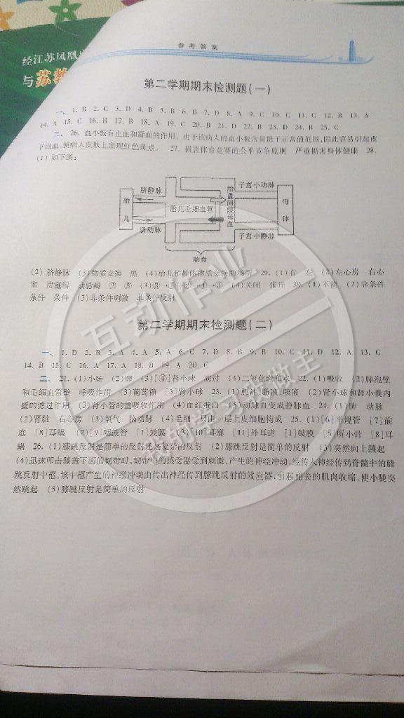 2015年学习检测七年级生物下册 第11页