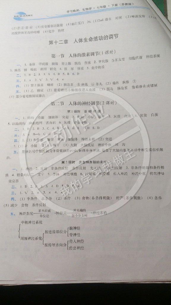 2015年学习检测七年级生物下册 第7页