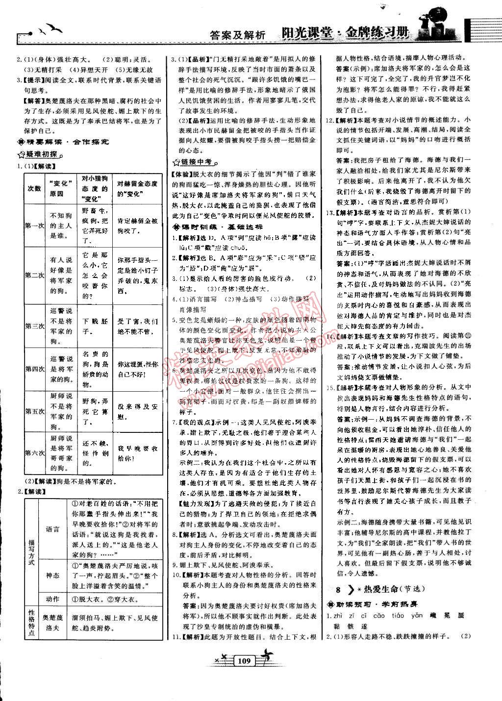 2015年阳光课堂金牌练习册九年级语文下册人教版 第5页