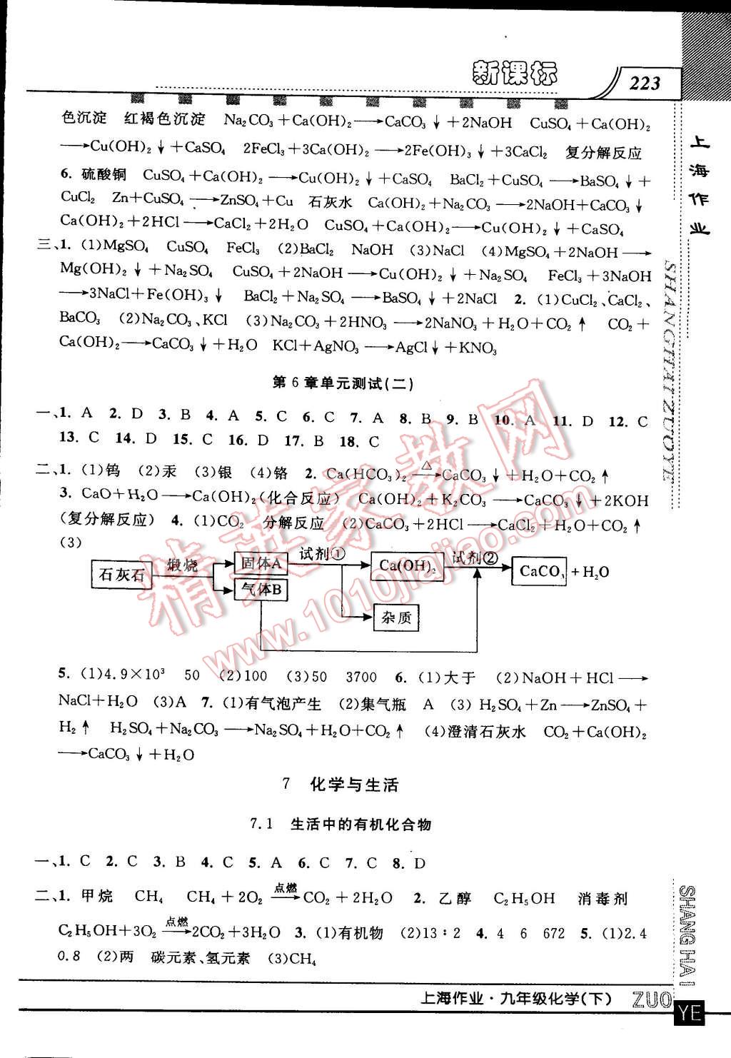 2015年上海作業(yè)九年級(jí)化學(xué)下冊(cè) 第11頁