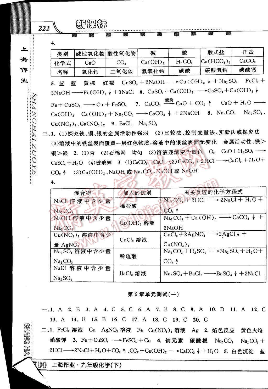 2015年上海作業(yè)九年級化學下冊 第10頁