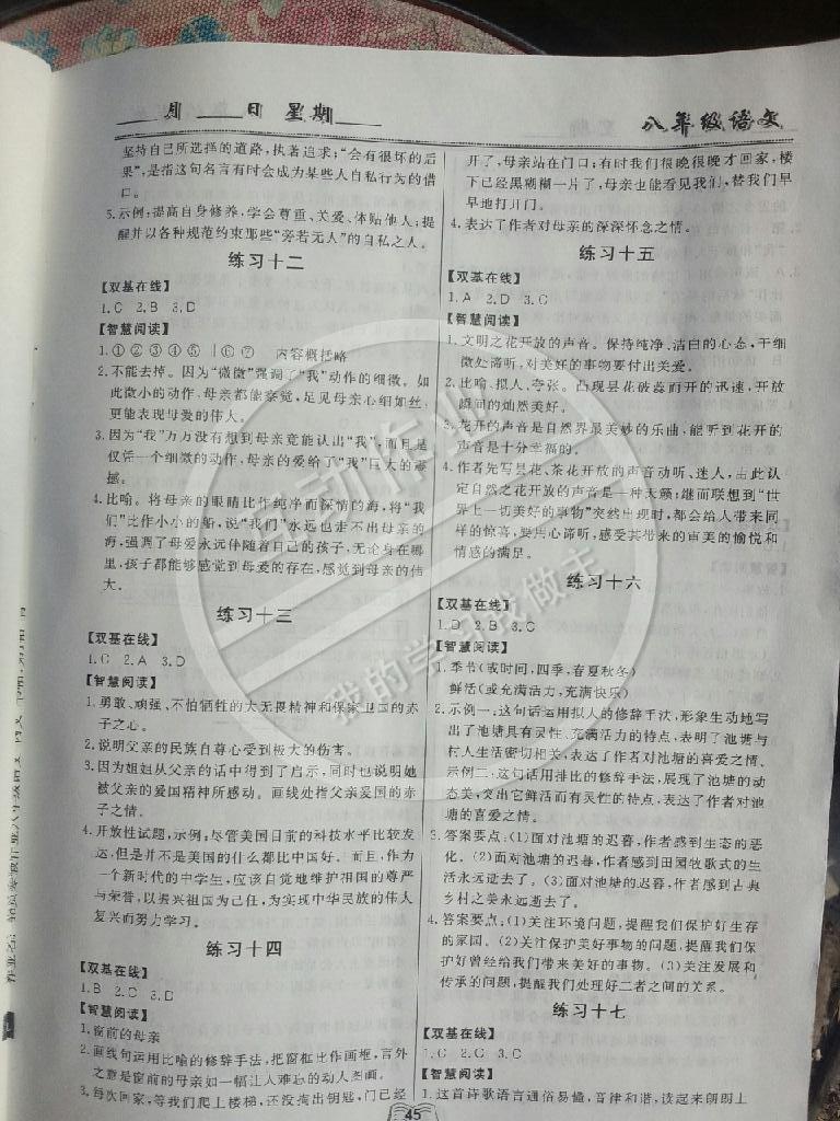 2015年優(yōu)等生寒假作業(yè)八年級(jí)語(yǔ)文云南人民出版社 第3頁(yè)