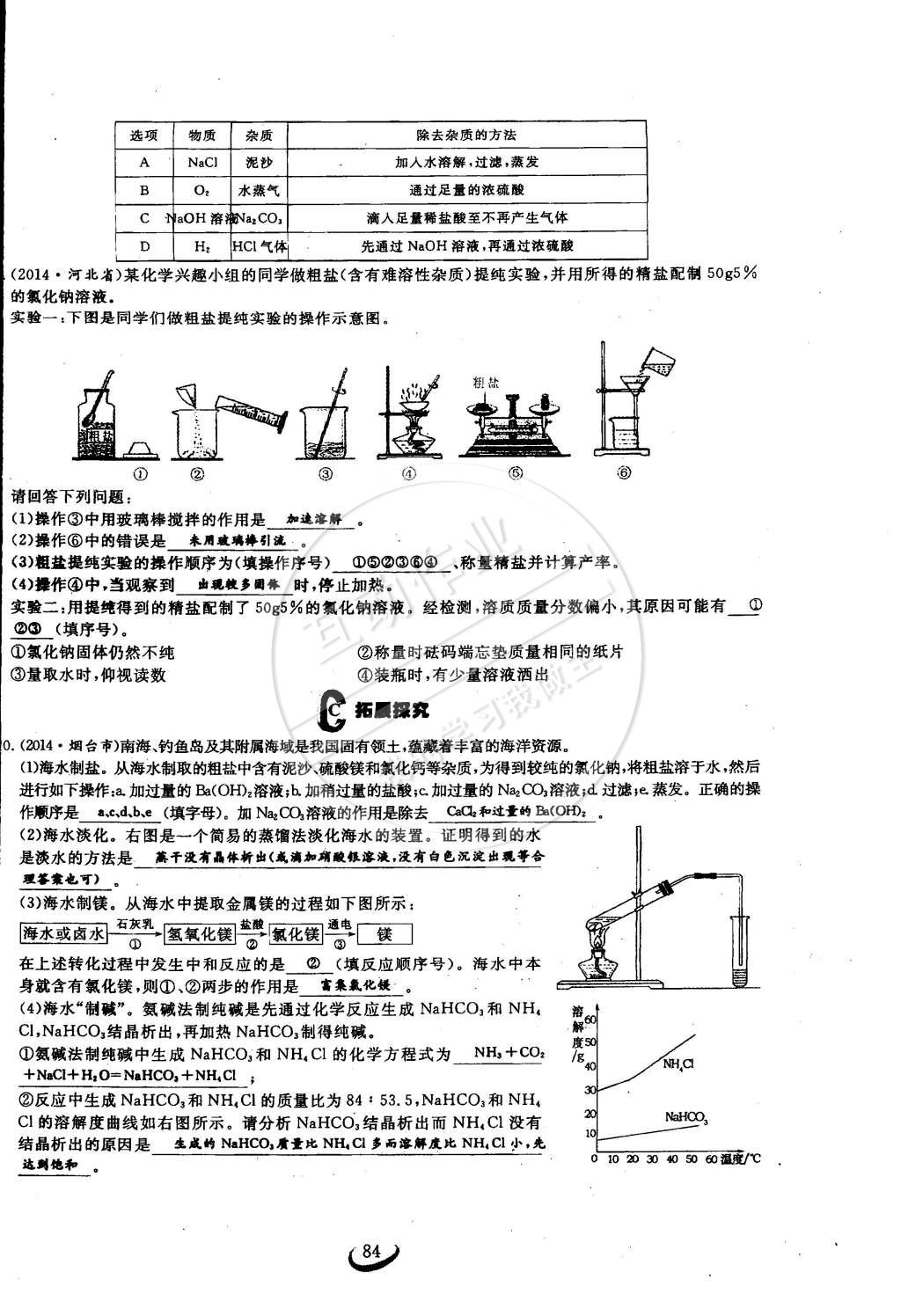 2015年思維新觀察九年級化學(xué)下冊人教版 第84頁